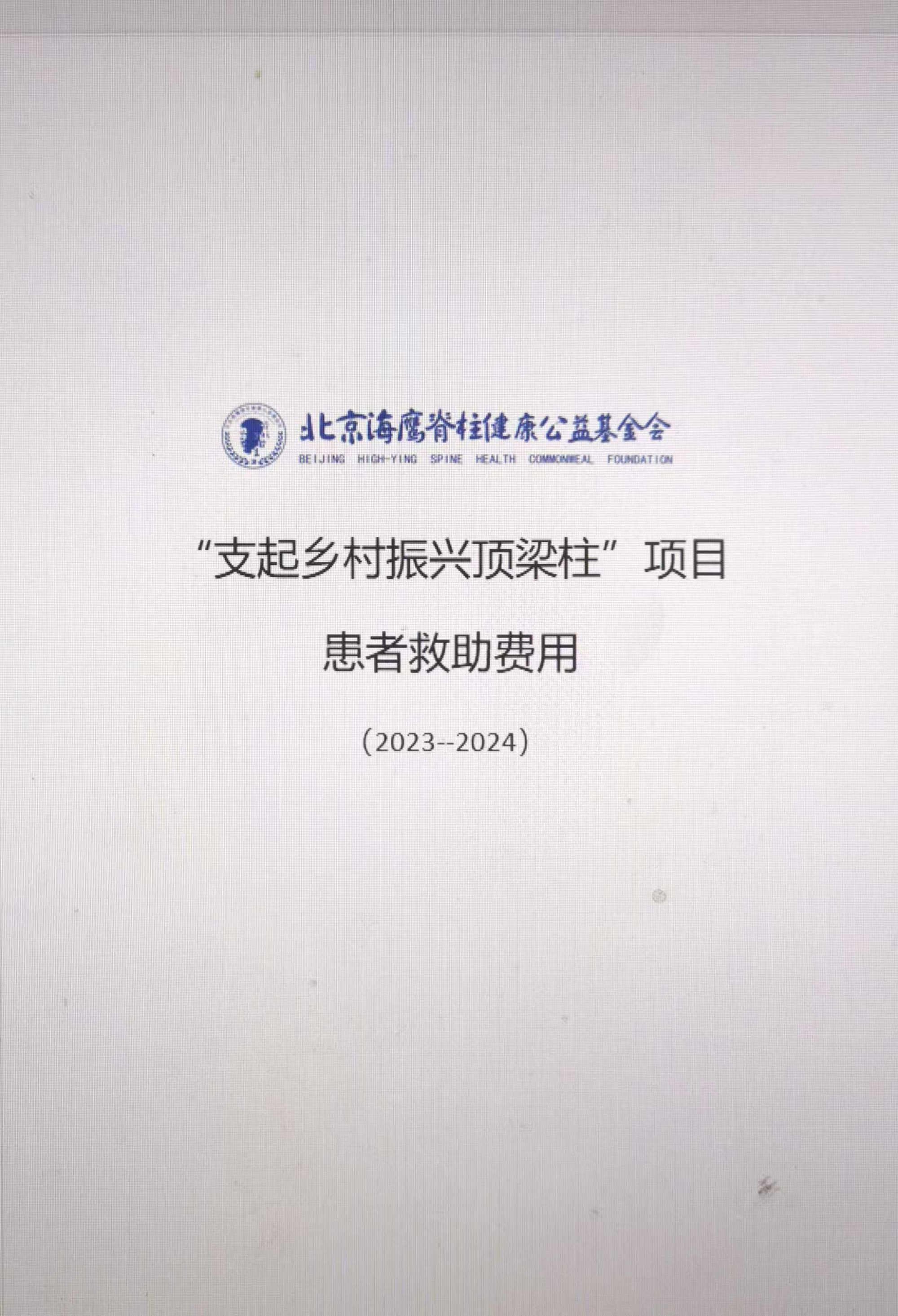 支起乡村振兴顶梁柱项目 患者救助费用